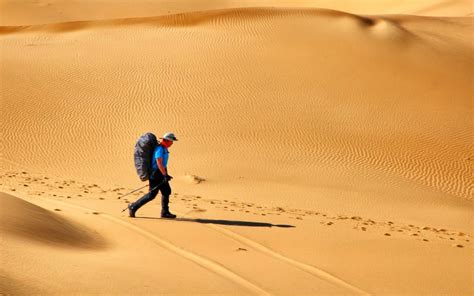 arid cheats|Arid Desert Survival .